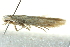  ( - BIOUG02242-F10)  @12 [ ] CreativeCommons - Attribution (2012) CBG Photography Group Centre for Biodiversity Genomics