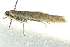  ( - BIOUG02244-F02)  @12 [ ] CreativeCommons - Attribution (2012) CBG Photography Group Centre for Biodiversity Genomics