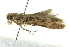  ( - BIOUG02244-F07)  @12 [ ] CreativeCommons - Attribution (2012) CBG Photography Group Centre for Biodiversity Genomics