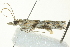  ( - BIOUG02244-G06)  @13 [ ] CreativeCommons - Attribution (2012) CBG Photography Group Centre for Biodiversity Genomics