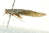  ( - BIOUG02244-G09)  @12 [ ] CreativeCommons - Attribution (2012) CBG Photography Group Centre for Biodiversity Genomics