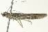  ( - BIOUG02245-D09)  @13 [ ] CreativeCommons - Attribution (2012) CBG Photography Group Centre for Biodiversity Genomics