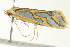  ( - BIOUG02245-E10)  @14 [ ] CreativeCommons - Attribution (2012) CBG Photography Group Centre for Biodiversity Genomics