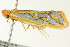  ( - BIOUG02245-E11)  @14 [ ] CreativeCommons - Attribution (2012) CBG Photography Group Centre for Biodiversity Genomics