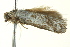  ( - BIOUG02245-G01)  @12 [ ] CreativeCommons - Attribution (2012) CBG Photography Group Centre for Biodiversity Genomics