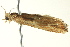  ( - BIOUG02245-G10)  @12 [ ] CreativeCommons - Attribution (2012) CBG Photography Group Centre for Biodiversity Genomics