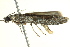  ( - BIOUG02245-G11)  @13 [ ] CreativeCommons - Attribution (2012) CBG Photography Group Centre for Biodiversity Genomics