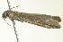  ( - BIOUG02246-B08)  @13 [ ] CreativeCommons - Attribution (2012) CBG Photography Group Centre for Biodiversity Genomics