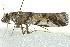  ( - BIOUG02246-C07)  @12 [ ] CreativeCommons - Attribution (2012) CBG Photography Group Centre for Biodiversity Genomics