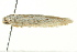  ( - BIOUG02246-E09)  @13 [ ] CreativeCommons - Attribution (2012) CBG Photography Group Centre for Biodiversity Genomics