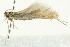  ( - BIOUG02246-F06)  @12 [ ] CreativeCommons - Attribution (2012) CBG Photography Group Centre for Biodiversity Genomics