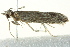  ( - BIOUG02246-G07)  @12 [ ] CreativeCommons - Attribution (2012) CBG Photography Group Centre for Biodiversity Genomics