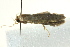  ( - BIOUG02246-H06)  @12 [ ] CreativeCommons - Attribution (2012) CBG Photography Group Centre for Biodiversity Genomics