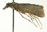  ( - BIOUG02247-C06)  @13 [ ] CreativeCommons - Attribution (2012) CBG Photography Group Centre for Biodiversity Genomics