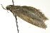  ( - BIOUG02247-D05)  @12 [ ] CreativeCommons - Attribution (2012) CBG Photography Group Centre for Biodiversity Genomics