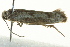  ( - BIOUG02248-D05)  @12 [ ] CreativeCommons - Attribution (2012) CBG Photography Group Centre for Biodiversity Genomics