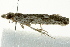 ( - BIOUG02248-D06)  @12 [ ] CreativeCommons - Attribution (2012) CBG Photography Group Centre for Biodiversity Genomics