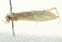  ( - BIOUG02248-F11)  @13 [ ] CreativeCommons - Attribution (2012) CBG Photography Group Centre for Biodiversity Genomics