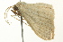  ( - BIOUG02248-G09)  @14 [ ] CreativeCommons - Attribution (2012) CBG Photography Group Centre for Biodiversity Genomics