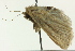  ( - BIOUG02249-A06)  @12 [ ] CreativeCommons - Attribution (2012) CBG Photography Group Centre for Biodiversity Genomics