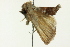  ( - BIOUG02249-A07)  @12 [ ] CreativeCommons - Attribution (2012) CBG Photography Group Centre for Biodiversity Genomics