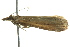  ( - BIOUG02249-E12)  @13 [ ] CreativeCommons - Attribution (2012) CBG Photography Group Centre for Biodiversity Genomics
