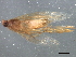  ( - BIOUG01146-E02)  @12 [ ] CreativeCommons - Attribution (2012) CBG Photography Group Centre for Biodiversity Genomics