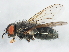  ( - BIOUG01143-H05)  @14 [ ] CreativeCommons - Attribution (2012) CBG Photography Group Centre for Biodiversity Genomics