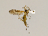  ( - 08PROBE-1261)  @14 [ ] Unspecified (default): All Rights Reserved  Unspecified Unspecified