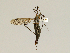  ( - 08PROBE-1262)  @13 [ ] Unspecified (default): All Rights Reserved  Unspecified Unspecified