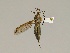  ( - 08PROBE-1267)  @13 [ ] Unspecified (default): All Rights Reserved  Unspecified Unspecified