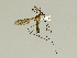  ( - 08PROBE-1277)  @13 [ ] Unspecified (default): All Rights Reserved  Unspecified Unspecified