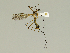  ( - 08PROBE-1281)  @14 [ ] Unspecified (default): All Rights Reserved  Unspecified Unspecified
