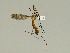  ( - 08PROBE-1282)  @14 [ ] Unspecified (default): All Rights Reserved  Unspecified Unspecified