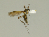  ( - 08PROBE-1284)  @13 [ ] Unspecified (default): All Rights Reserved  Unspecified Unspecified