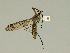  ( - 08PROBE-1286)  @13 [ ] Unspecified (default): All Rights Reserved  Unspecified Unspecified