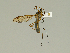  ( - 08PROBE-1289)  @13 [ ] Unspecified (default): All Rights Reserved  Unspecified Unspecified