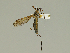  ( - 08PROBE-1291)  @13 [ ] Unspecified (default): All Rights Reserved  Unspecified Unspecified