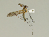  ( - 08PROBE-1298)  @13 [ ] Unspecified (default): All Rights Reserved  Unspecified Unspecified