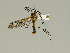  ( - 08PROBE-1299)  @13 [ ] Unspecified (default): All Rights Reserved  Unspecified Unspecified