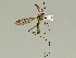  ( - 08PROBE-1300)  @13 [ ] Unspecified (default): All Rights Reserved  Unspecified Unspecified