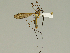  ( - 08PROBE-1307)  @14 [ ] Unspecified (default): All Rights Reserved  Unspecified Unspecified