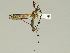  ( - 08PROBE-1308)  @13 [ ] Unspecified (default): All Rights Reserved  Unspecified Unspecified