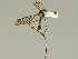  ( - 08PROBE-1309)  @13 [ ] Unspecified (default): All Rights Reserved  Unspecified Unspecified