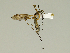  ( - 08PROBE-1312)  @13 [ ] Unspecified (default): All Rights Reserved  Unspecified Unspecified