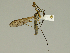  ( - 08PROBE-1313)  @13 [ ] Unspecified (default): All Rights Reserved  Unspecified Unspecified