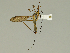  ( - 08PROBE-1318)  @13 [ ] Unspecified (default): All Rights Reserved  Unspecified Unspecified