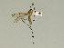  ( - 08PROBE-1328)  @13 [ ] Unspecified (default): All Rights Reserved  Unspecified Unspecified