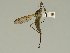  ( - 08PROBE-1333)  @13 [ ] Unspecified (default): All Rights Reserved  Unspecified Unspecified