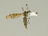  ( - 08PROBE-1335)  @14 [ ] Unspecified (default): All Rights Reserved  Unspecified Unspecified